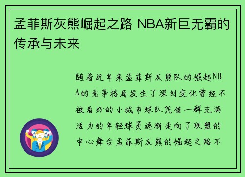 孟菲斯灰熊崛起之路 NBA新巨无霸的传承与未来